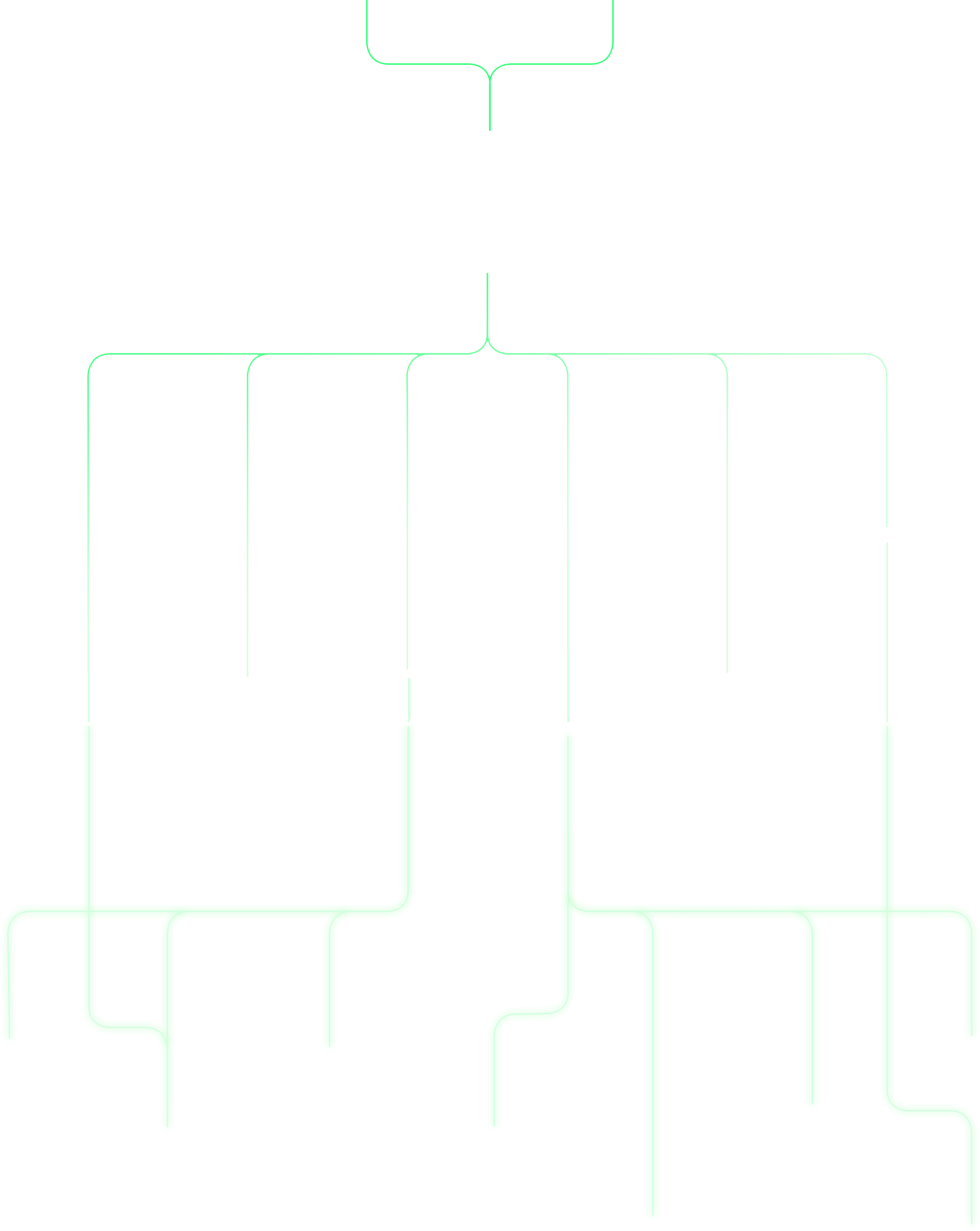Ecosystem connection lines